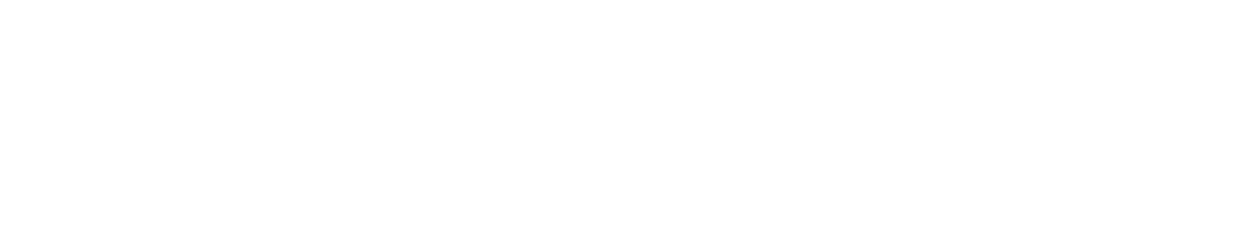 nysora-white-logo