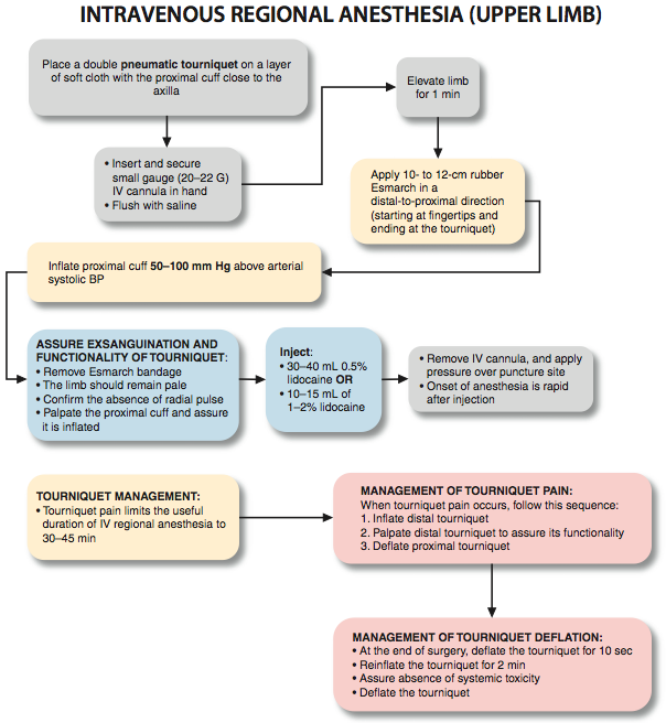 Bier Block NYSORA The New York School of Regional Anesthesia