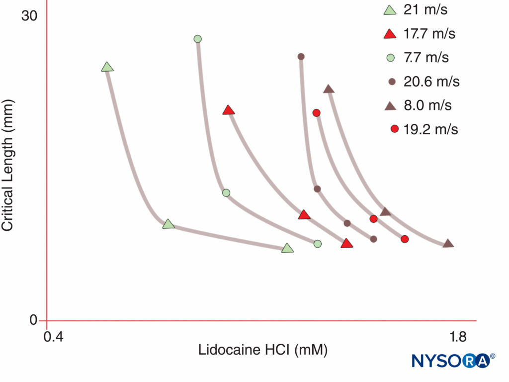 Note that the concentration of local anesthetic required to produce nerve block declines as the length of nerve exposed to the local anesthetic increases. (Reproduced with permission from Raymond SA, Steffensen SC, Gugino LD, et al: The role of length of nerve exposed to local anesthetics in impulse blocking action. Anesth Analg. 1989 May;68(5):563-570.)
