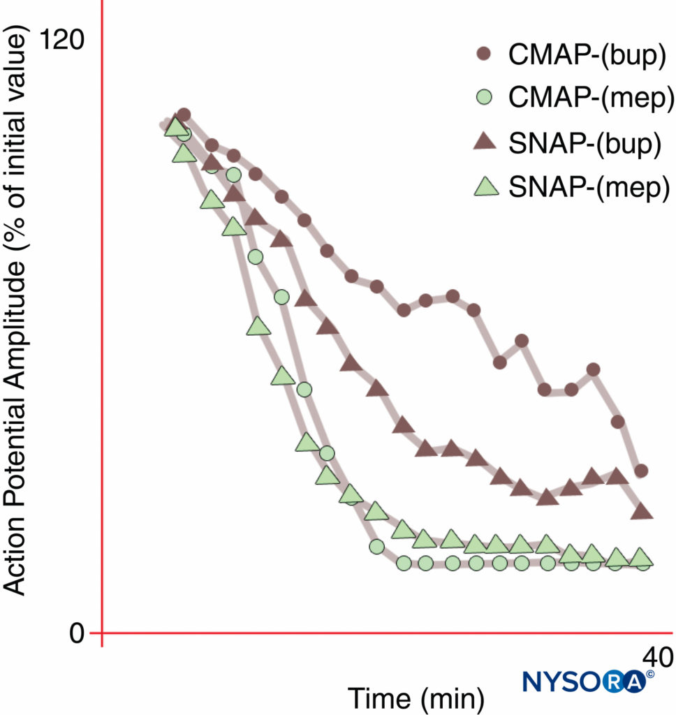 Differential onset of median nerve block with bupivacaine 0.3% (bup), but not with mepivacaine 1% (mep). Note that the compound motor action potential (CMAP) is inhibited less than the sensory nerve action potential (SNAP) during onset of bupivacaine block in these normal volunteer subjects. At steady state (20 min), CMAP and SNAP are comparably inhibited. On the other hand, mepivacaine produced faster inhibition of both CMAP and SNAP, and there was no differential onset of block. (Reproduced with permission from Butterworth J, Ririe DG, Thompson RB, et al: Differential onset of median nerve block: randomized, double-blind comparison of mepivacaine and bupivacaine in healthy volunteers. Br J Anaesth. 1998 Oct;81(4):515-521.)