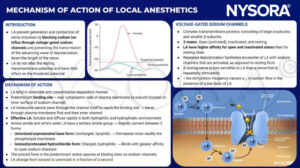 How Local Anesthesia Works Clinical Pharmacology of Local Anesthetics - NYSORA