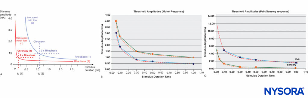 A: Comparison of threshold curves, chronaxy, and rheobase level of motor (high-speed) and pain (low-speed) fibers. B: Experimental data, threshold amplitudes obtained with percutaneous stimulation (Stimuplex Pen and Stimuplex HNS 12). Stimulation obtained with percutaneous stimulation of the median nerve near the wrist looking for motor response of the thumb. C: Threshold amplitudes obtained with percutaneous stimulation (Stimuplex Pen and Stimuplex HNS 12). Stimulation of the median and radial nerves near the wrist and at the midforearm looking for electric paresthesia (tingling sensation) in the middle and ring fingers (median nerve) or superficial pain sensation near the wrist (radial nerve), respectively.
