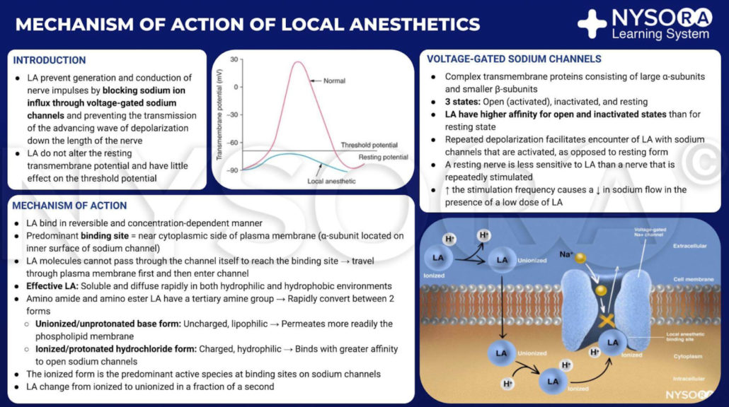 Clinical Pharmacology of Local Anesthetics NYSORA