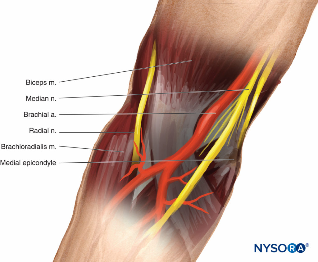 Hand Nerve Blocks — NUEM Blog