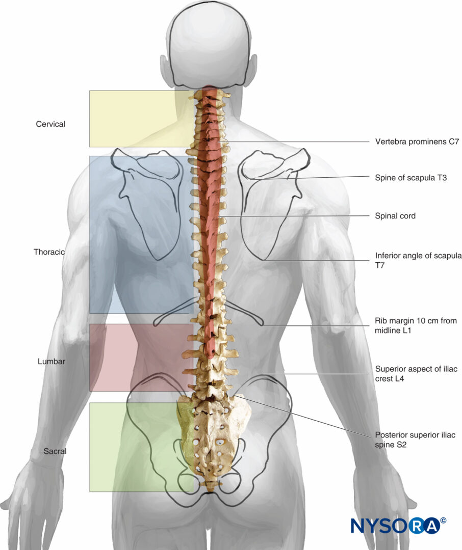 Epidural Chart