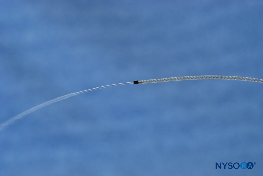 Single end-hole wire-reinforced catheter. (Used with permission from Epimed International.)