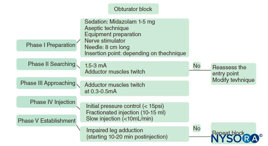 A practical algorithm to obturator nerve block.