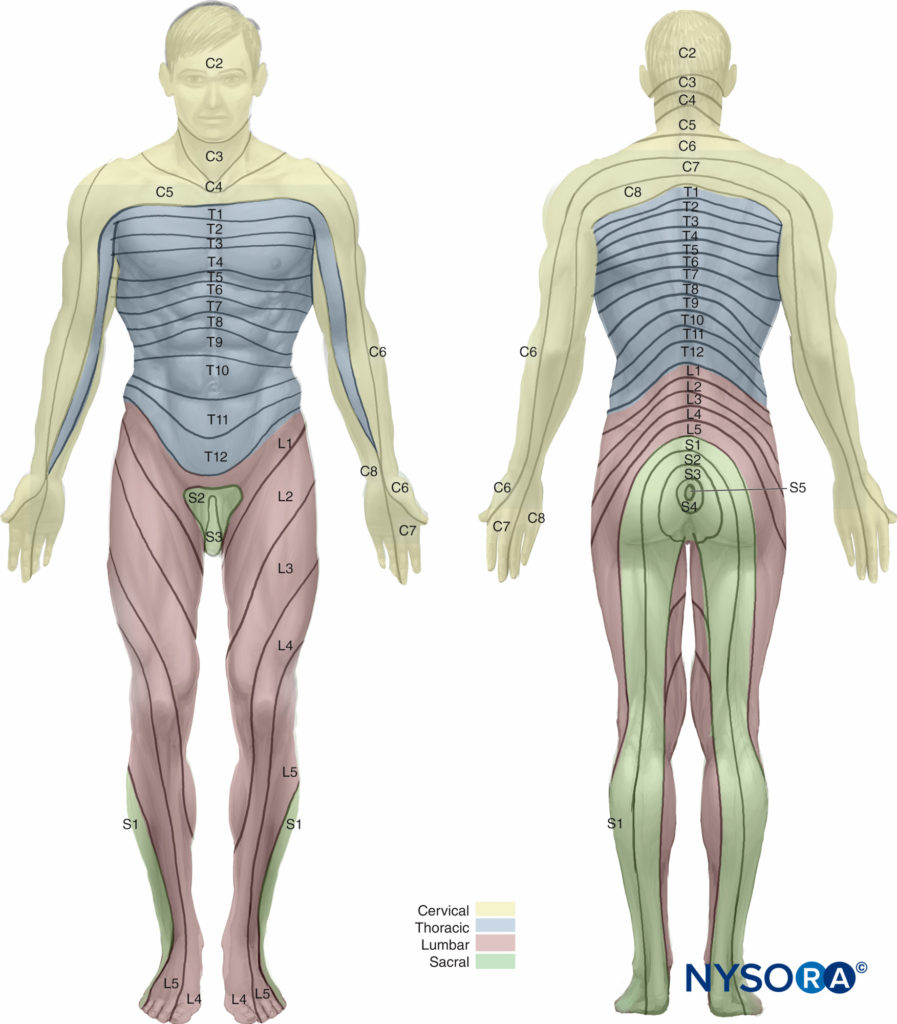 Atlante ed epitome di ginecologia. L epoch e quando la tensione  intra-addomi-nale è aumentata. Sterilità, dalla solita combi-nazione con  ooforite. Febbre (in gonorrea, solo post-sforzo o eccitazione). Prognosi -  la concezione