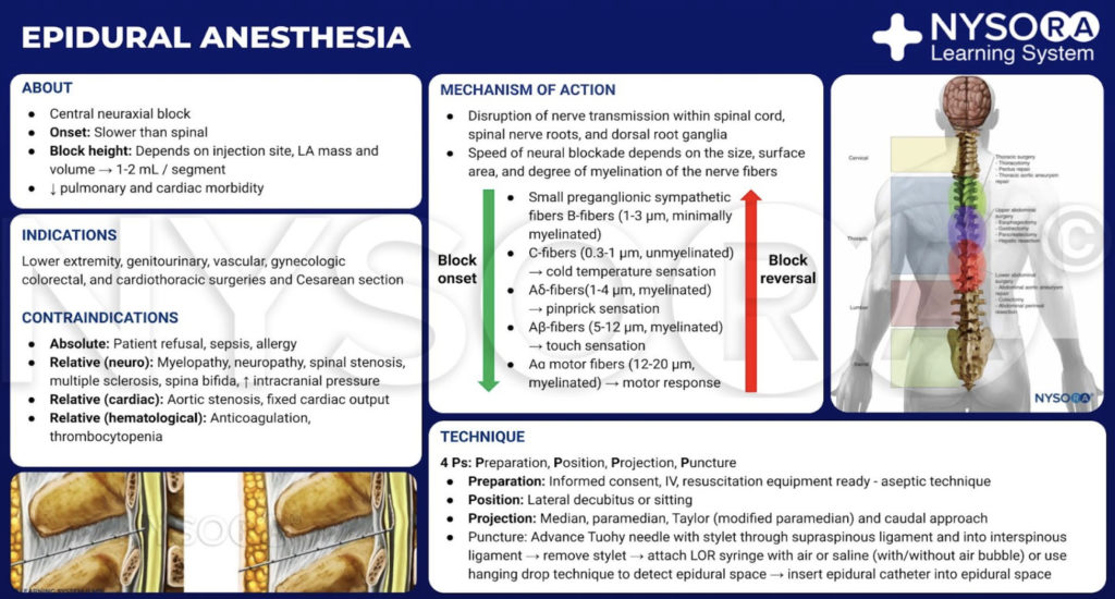 Managing Luer Connections - Anesthesia Patient Safety Foundation