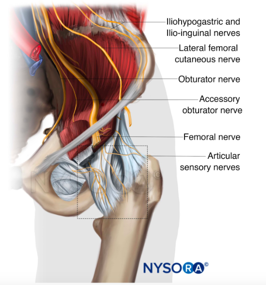 superior gluteal nerve injection