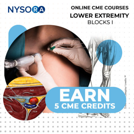 NYSORA-CME-lower extremity blocks 5 cme credits - NYSORA