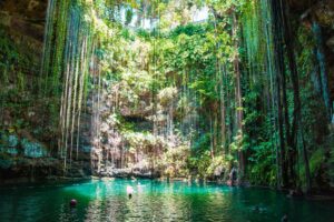 Swim in Cenotes: Explore the natural wonders of cenotes, which are freshwater sinkholes formed by collapsed limestone. These unique geological formations provide an opportunity to swim, snorkel, or dive in crystal-clear underground pools.