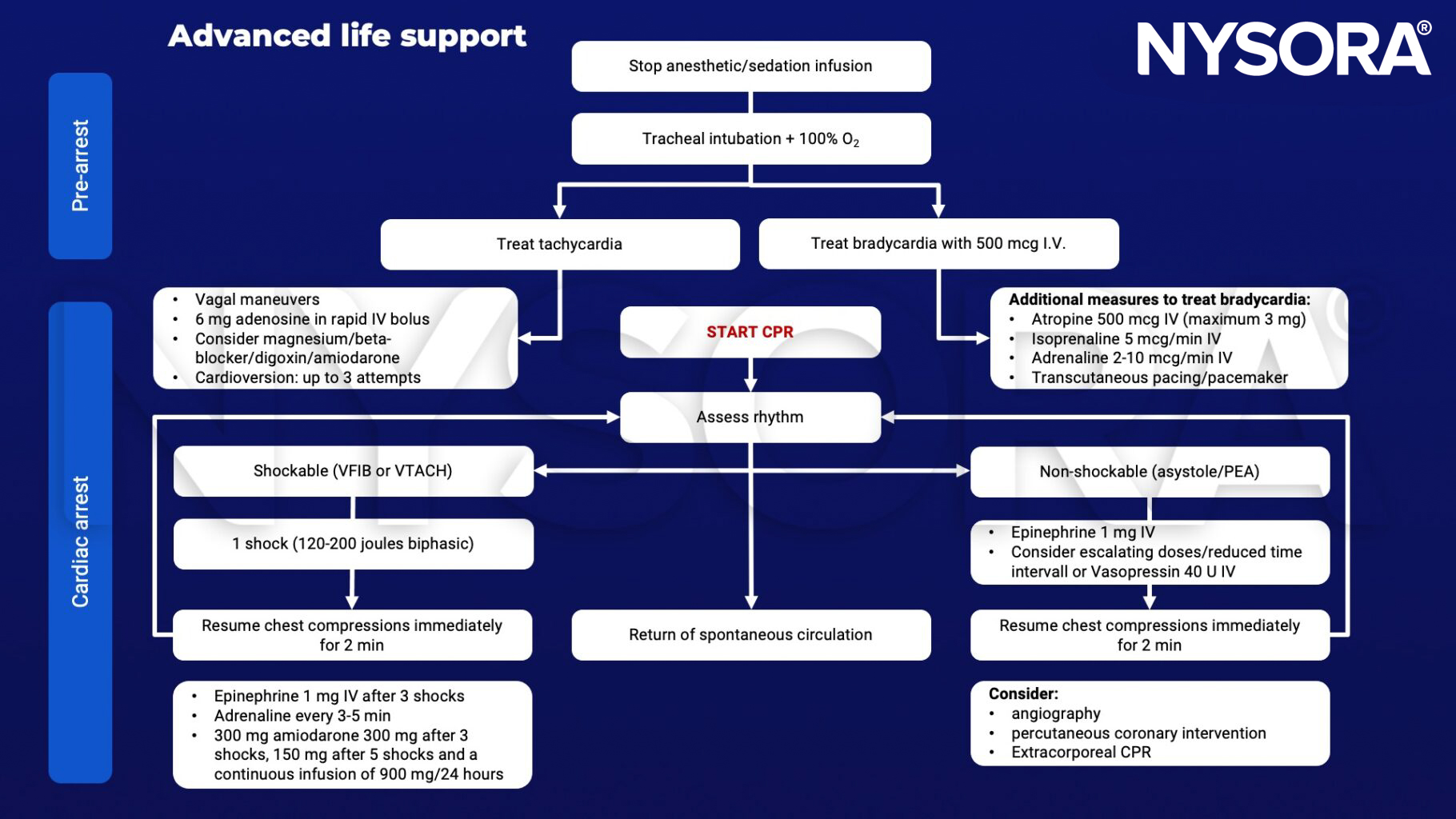 advanced life support, tracheal intubation, 100% O2, atropine, isprenaline, adrenaline, transcutaenous pacing, bradycardia, tachycardia, adenosine, cardioversion, CPR, epinephrine, vasopressin, assess rhythm, shockable, asystole, chest compressions, spontaneous circulation, amiodarone