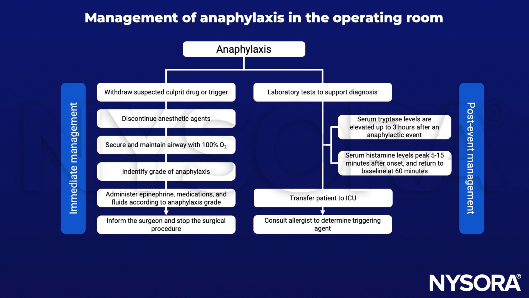 anaphylaxis, culprit drug, trigger, maintain airway, epinephrine, fluids, grade of anaphylaxis, laboratory test, tryptase, histamine, transfer to ICU, allergist