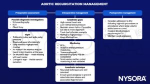 aortic regurgitation, echocardiography, ecg, x-ray, apex, pulse, murmur, diastolic, austin-fint, de musset, corrigan, blood pressure, heart rate, sinus rhythm, dysrhythmias, preload, afterload, arterial pressure, transesophageal, neuraxial, analgesia, catecholamine, hypertension, icu