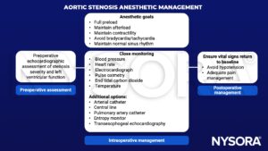 echocardiographic assessment, aortic stenosis, left ventricular function, preoperative assessment, intraoperative, postoperative management, preload, afterload, contractility, bradycardia, tachycardia, sinus rhythm, blood pressure, heart rate, electrocardiograph, pulse oximetry, end tidal carbon dioxide, temperature, arterial catheter, central line, pulmonary artery catheter, entropy monitor, transesophageal echocardiography, hypotension, pain management