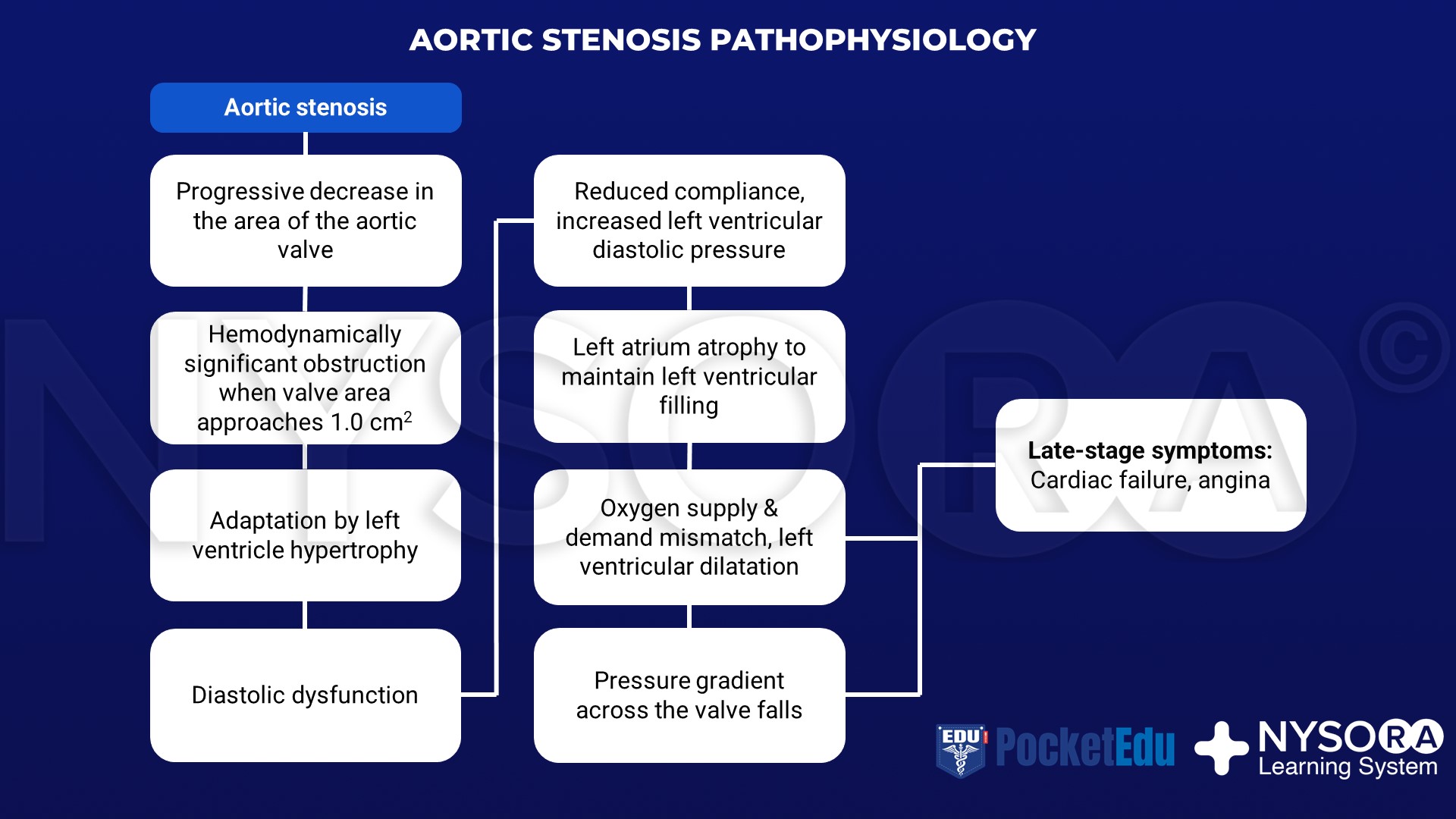Aortic Stenosis Pathophysiology Nysora Nysora