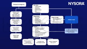 Delayed emergence, GCS, focal signs, pupils, symmetric motor movement, ABC ckeck, blood pressure, ECG, fluazenil, nalaxone, neostigmine, phsysiostigmine, sugammadex, glycopronium bromide, glucose, CT, neurological causes