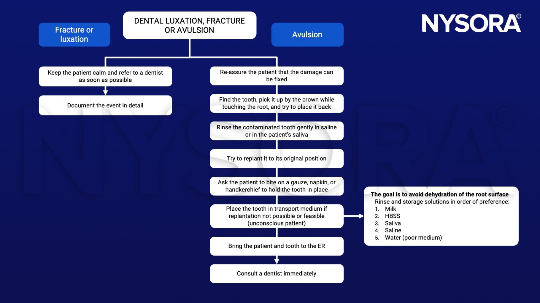Dental luxation, fracture or avulsion NYSORA NYSORA