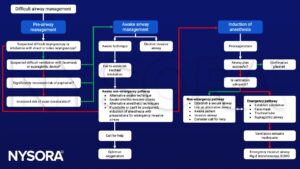 Difficult airway management, laryngoscopy, facemask, supraglottic device, aspiration, desaturation, tracheal intubation, preoxygenatio, rigid bronchoscopy, ECMO