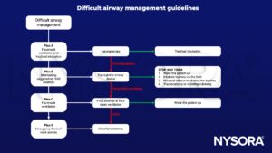 Guidelines difficult airway management, facemask ventilation, treacheal intubation, SAD, laryngoscopy, supraglottic airway device, cricothyroidotomy, tracheostomy