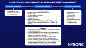 hypertrophic cardiomyopathy, hcm, fluid, preload, afterload, management, svr, sympathetic, contractility, tachycardia, sinus rhythm, hypotension, iv fluis bolus, phenylephrine, LVOTO, invasive monitoring, transesophageal echocardiography, inotropes, pulmonary capillary wedge pressure, regional anesthesia, spinal, icu, analgesia