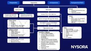 Hypoxemia, 100% O2, ETo2, oxygen, FiO2, PEEP, bronchodilators, ETT, X-ray, peak inspiratory pressure, ETCO2, ECG 