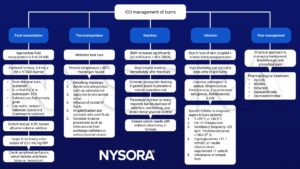 ICU management of burns, fluid resuscitation, thermoregulation, nutrition, infection, pain, Parkland formula, colloid rescue, heat loss, multiorgan failure, BMR, enteral nutrition, postpyloric feeding, opioids, NSAIDs, ketamine, gabapentinoids,dexmedetomidine