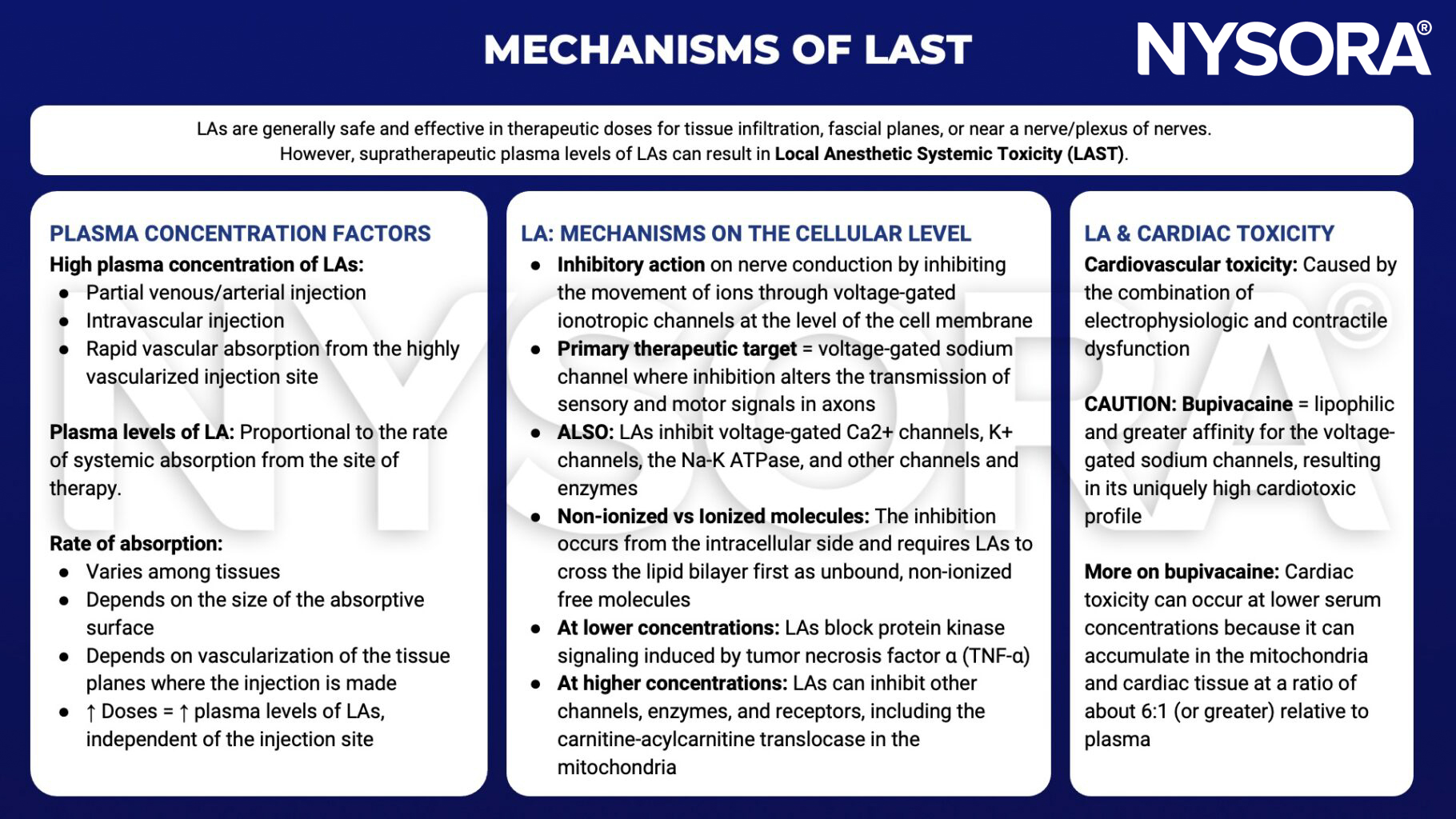local anesthetic toxicity, LAST mechanisms, plasma concentration, plasma level, rate of absorption, inhibitory action, therapeutic target, concentrations, cardiac toxicity, cardiovascular toxicity, bupivacaine, lipophilic, sodium channels, mitochondria