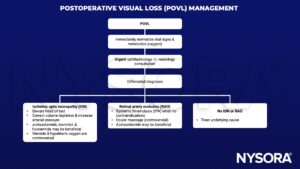 postoperative visual loss (POVL), ophtalmology, neurology, ION acetalzolamide, mannitol, flurosemide, steroid, hyperbaric oxygen, systemic thrombolysis, tPA, occular massage, RAO, CRAO, BRAO 
