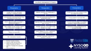 Trauma, full stomach, antacid, fractures, volume resuscitation, IV, IO acces, preoxygenation, RSI, endotracheal intubation, propofol, SVR, ketamine, TIVA, MAP, BP, arterial line, low lung volume ventilation, thromboprophylaxis