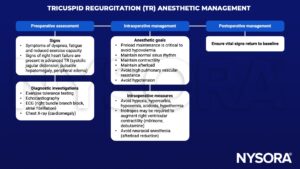 tricuspid regurgitation, TR, management, fatigue, dyspnea, exercise, right heart failure, systolic jugular distension, pulsatile hepatomegaly, peripheral edema, echocardiography, ecg, right bundle branch block, atrial fibrillation, cardiomegaly, preload, afterload, sinus rhythm, contractility, pulmonary vascular resistance, hypoxia, hypercarbia, hypoxemia, acidosis, inotropes, neuraxial anesthesia