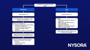 abdominal aortic aneurysm (AAA) repair, ICU, open repair, EVAR, DVT