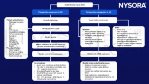 AKI, anemia, central venous pressure, urea, creatinine, specifc gravity, CKD, succinylcholine, NSAIDS, contrast dye, aminoglycoside antibiotics, diuretics