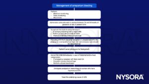 Antepartum bleeding (APB), corticosteroids, tocolysis, ultrasound, ketamine