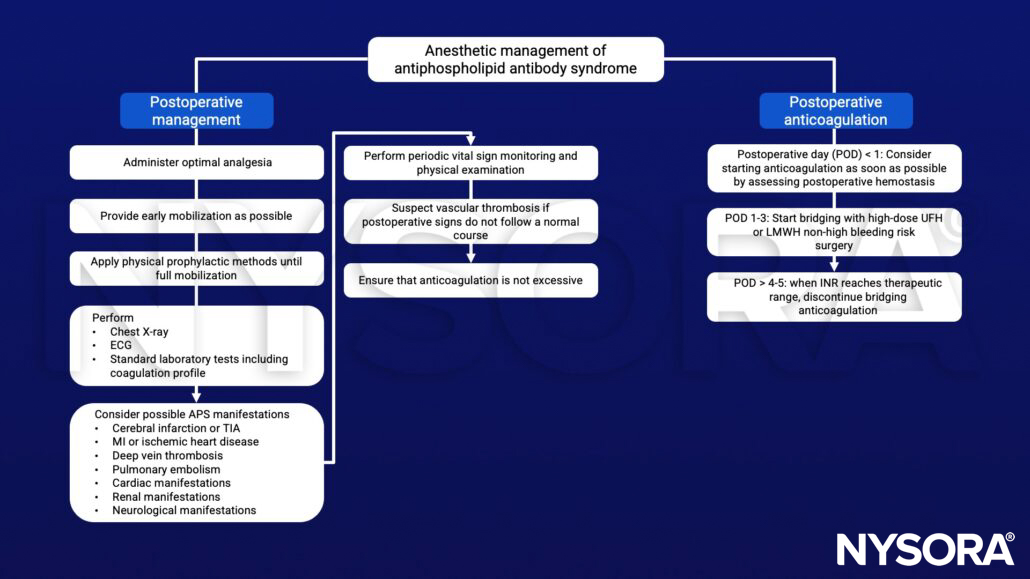 Antiphospholipid antibody syndrome (APS), coagulation, thrombosis, LMWH, INR