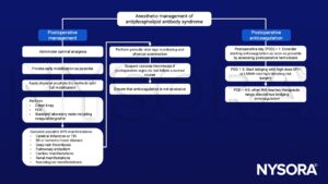 Antiphospholipid antibody syndrome (APS), coagulation, thrombosis, LMWH, INR