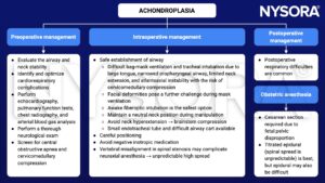 achondroplasia, preoperative, intraoperative, postoperative, management, obstetric anesthesia, echocardiography, pulmonary function tests, chest radiography, blood gas analysis, neurological exam, obstructive apnea, cervicomedullary compression, airway, intubation, mask ventilation, awake fiberoptic intubation, endotracheal tube, neuraxial anesthesia, Cesarean section, epidural