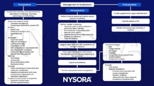 Amyloidosis