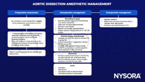 aortic dissection, transesophageal echocardiography, aortic rupture, central venous catheter, arterial line, preload, heart rate, beta-blockers, beta blockade, sinus rhythm, contractility, systemic blood pressure, labetalol, esmolol, nitroprusside, femoral artery, neuromonitoring, EEG, NIRS, jugular venous oxygen saturation monitoring, inotropes, hydrazaline, vasodilation, pericardiocentesis, sedation, epidural catheter