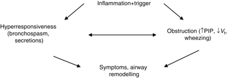 asthma, pathophysiology, inflammation, hyperresponsiveness, bronchospasm, secretions, airway remodeling, obstruction, wheezing