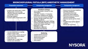 Bronchopleural fistula, bpf, radiography, bronchoscopy, tidal volume, blood gas, resuscitations, oxygen, chest tube, lung isolation, volatile, iv, double-lumen tube, fiberoptic guidance, one-lung ventilation, normothermia, invasive arterial pressure, central venous pressure, arterial blood gas, urine, extubation, bronchial suctioning, bronchodilators, physiotherapy, sputum, recurrence