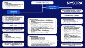 Carotid endarterectomy, X-clamp, ECG, hypertension, statins, beta-blockers, aspirin, superficial cervical plexus block, sevoflurane, MAP, GA, RA