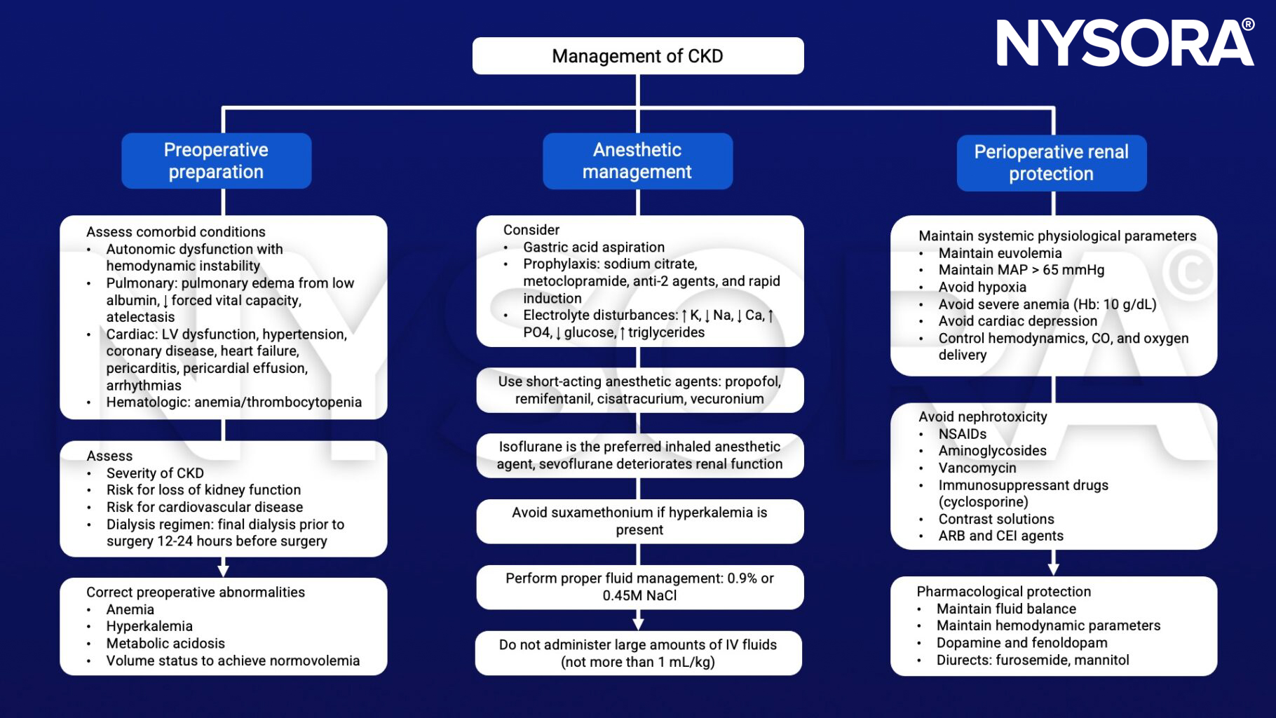 CKD, chronic kidney disease, dialysis, anemia, hyperkalemia, metabolic acidosis, normovolemia, electrolyte disturbances, propofol, isoflurance, MAP, hypoxia, NSAIDs, aminoglycosides, Vancomycin, cyclosporine, contrast solutions, ARB, CEI, diuretics, furosemide
