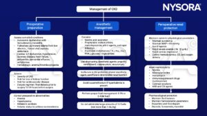 CKD, chronic kidney disease, dialysis, anemia, hyperkalemia, metabolic acidosis, normovolemia, electrolyte disturbances, propofol, isoflurance, MAP, hypoxia, NSAIDs, aminoglycosides, Vancomycin, cyclosporine, contrast solutions, ARB, CEI, diuretics, furosemide