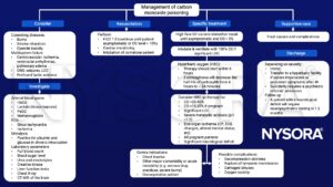 Carbon monoxide (CO) poisoning, HbCO, methemoglobin, FiO2, intubation, non-rebreather mask, hyperbaric oxygen (HBO)