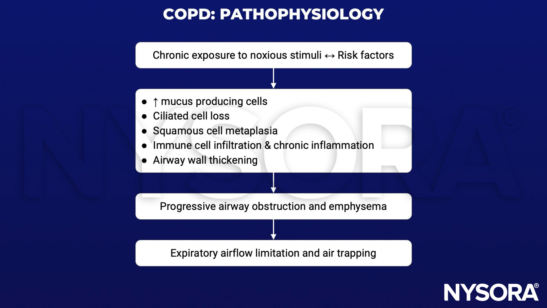 copd, chronic obstructive pulmonary disorder, lung disease, emphysema, peripheral airway disease, chronic bronchitis, FEV1/FVC, FEV1, carbon dioxide retention, right ventricular dysfunction, bullae, flow limitation, atelectasis, bronchospasm, respiratory tract infection, congestive heart failure