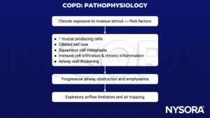 copd, chronic obstructive pulmonary disorder, lung disease, emphysema, peripheral airway disease, chronic bronchitis, FEV1/FVC, FEV1, carbon dioxide retention, right ventricular dysfunction, bullae, flow limitation, atelectasis, bronchospasm, respiratory tract infection, congestive heart failure