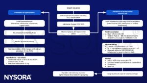 Crush injuries, ATLS, 100% O2, suxamethonium, mivacurnium, rocuronium, sugammadex, potassium, ECG, insulin, salbutamol, mannitol, Hartmanns, sodium bicarbonate