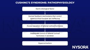Cushing's syndrome, Cushing's disease, cortisol, adrenocorticotropic hormone, ACTH, hypercortisolism, glucocorticoids, cortical hormones